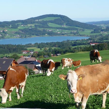 Familienferienhof Stabauer Zell am Moos Εξωτερικό φωτογραφία