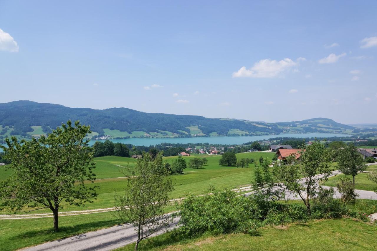 Familienferienhof Stabauer Zell am Moos Εξωτερικό φωτογραφία