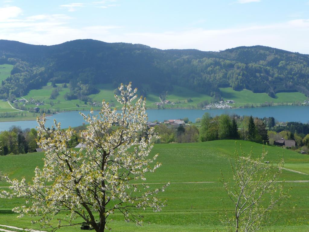 Familienferienhof Stabauer Zell am Moos Εξωτερικό φωτογραφία