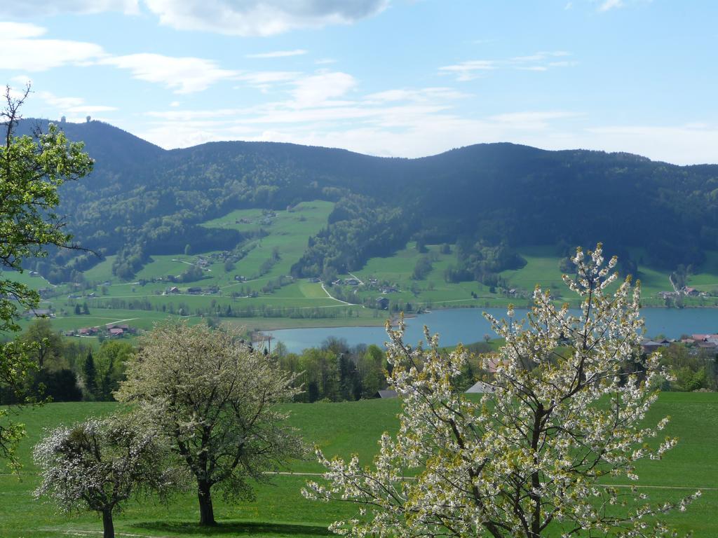 Familienferienhof Stabauer Zell am Moos Εξωτερικό φωτογραφία