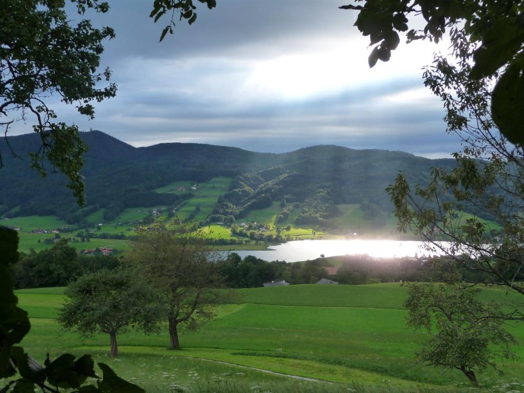 Familienferienhof Stabauer Zell am Moos Εξωτερικό φωτογραφία