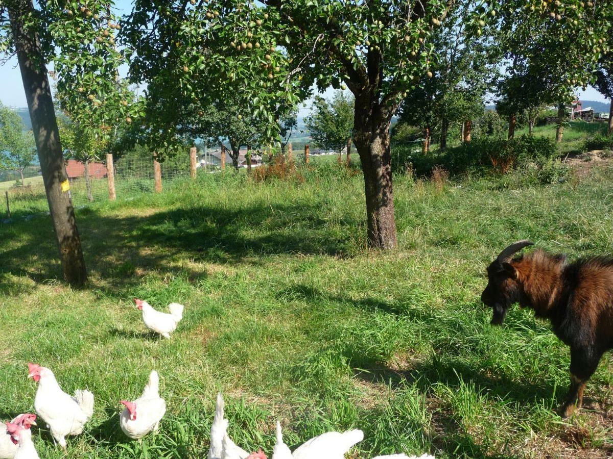 Familienferienhof Stabauer Zell am Moos Εξωτερικό φωτογραφία